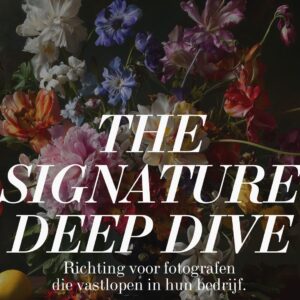The Signature Deep Dive Coaching